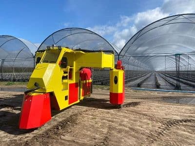 Red Ant blueberry sprayer