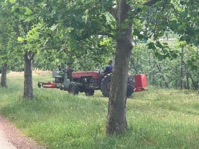 Red Ant hydraulic mower