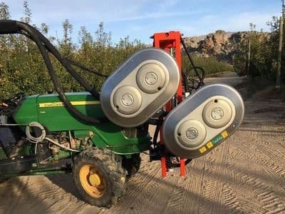Olmi defoliator