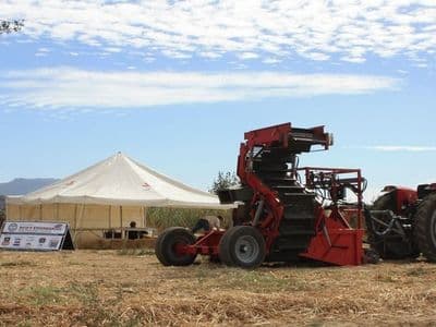Red Ant onion harvester