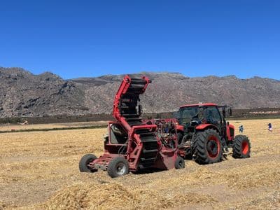 Red Ant onion harvester lifting onions