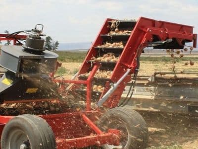 Red Ant onion harvester