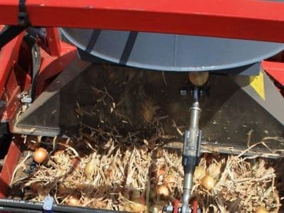 Red Ant onion harvester