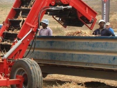 Red Ant onion harvester