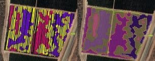Variable rate application maps from the Red Ant portal