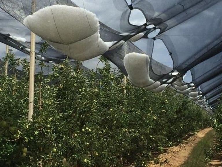 Anti-hail netting drawn over an orchard