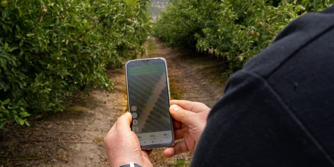 Operator using the Red Ant app on a phone in an orchard