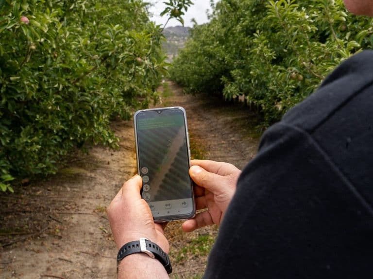 Operator using the Red Ant app on a phone in an orchard