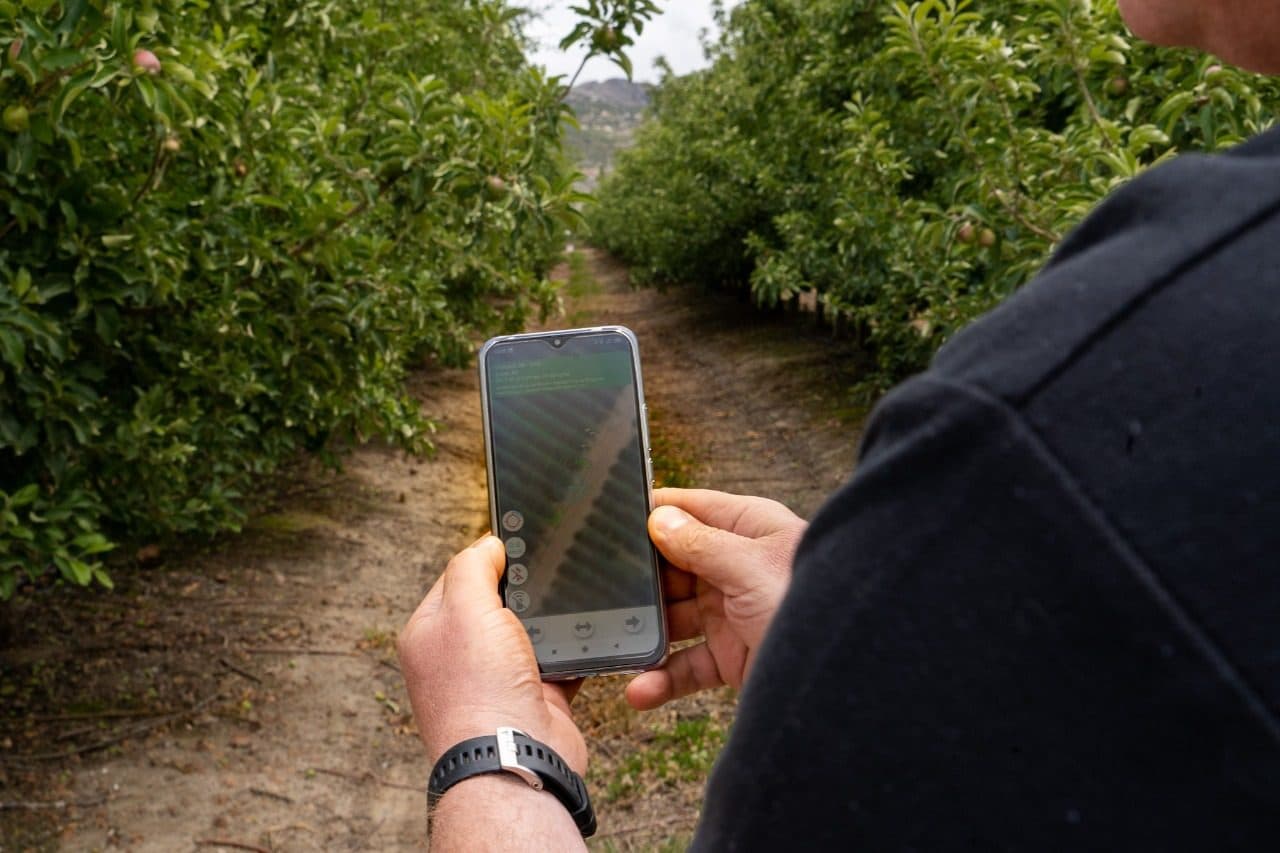 Operator using the Red Ant app on a phone in an orchard